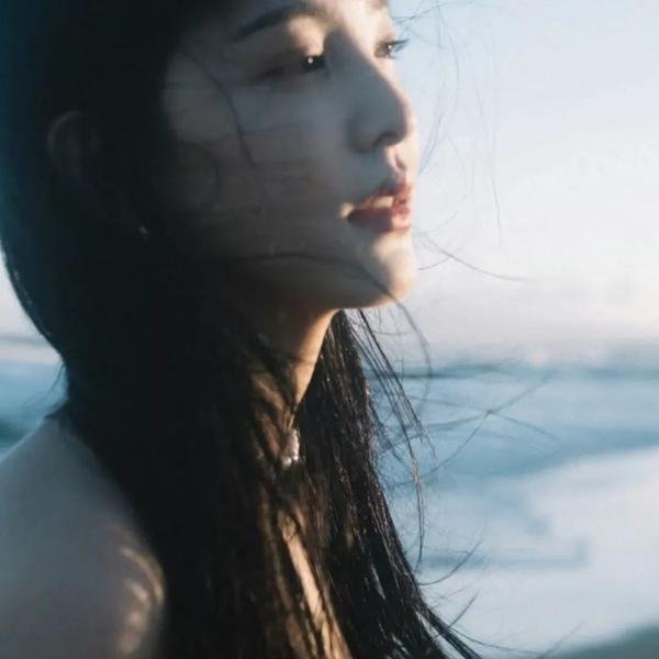 王牌御史