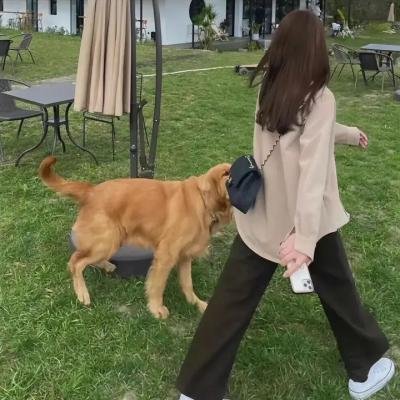 胖达直播间